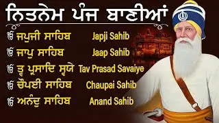 Nitnem Panj Bania  ਨਿਤਨੇਮ ਪੰਜ ਬਾਣੀਆ | Nitnem Sahib Full Path | japji sahib | Vol-10063 #nitnem