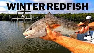 Winter Redfish: On Artificial Lures! #FloridaFishing #Florida #Outdoors