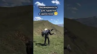 Неожиданность для туристки в Дагестане 😁 Туры по Дагестану 8(911)906.03.35 #дагестан #путешествия