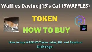 How to Buy Waffles Davincij15's Cat (WAFFLES) Token Using Raydium Exchange