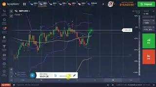 IQ OPTION FOREX TRADING
