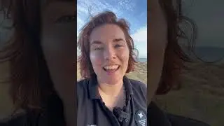 NEST QUEST! Day 3