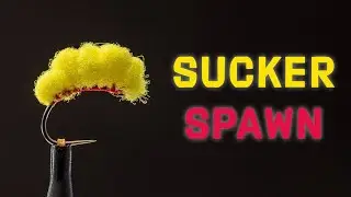Sucker Spawn Fly Pattern | Versatile Egg Fly | Fly Tying Tutorial