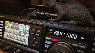 Comparing Yaesu ft ftdx3000 and ft1000mp mk5. Casual comparison