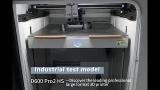 Industrial Test Model - D600Pro2HS High-Speed Printing