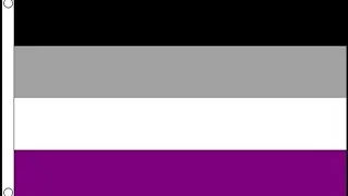 Asexual Flag Meaning