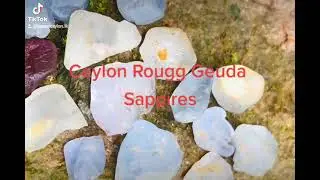 A Collection Of Rough Ceylon Geuda Sappires