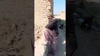 sakrand