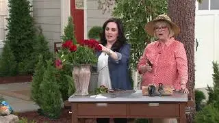 Nisaku Forged Steel Secateurs with Holster on QVC