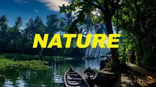 Beautiful Nature With Calm Music | Avis Nature