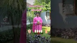 MINGGU ADVEN KE 3: GAUDETE #edisinaikkelas #myquote #cerminhati #01122022