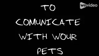 PETLANGUAGE
