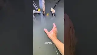 Ловим большого угря голыми руками #shortvideo #shorts