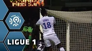 Lyon - PSG (1-0) - 13/04/14 - (Olympique Lyonnais - Paris Saint-Germain) - Highlights