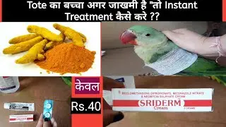Tote का बच्चा अगर जाखमी है 