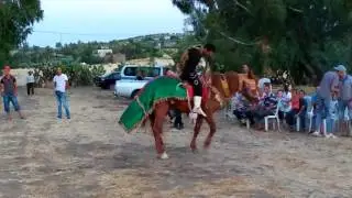 3irs yamen wed 8rib