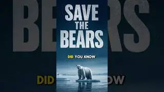 PEOPLE ARE URGED TO SAVE THE POLAR BEARS! What, Theyre NOT OK! How to Save Them From Climate Change!