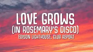 Edison Lighthouse, Club Report - Love Grows In Rosemary's Disco (Lyrics)