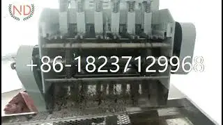 automatic cooked cashew nut shell cracker removing machine cashew nuts shelling machine
