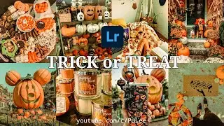 Trick or Treat Preset - Misty Blue Lightroom Mobile Free DNG - Halloween Filter
