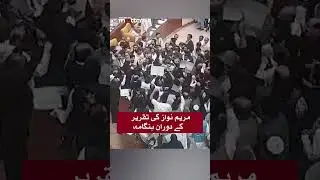 Why Did Chaos Break Out During Maryam Nawaz's Speech in Punjab Assembly? | Pakistan Matters