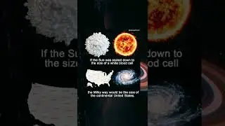 If The Sun Was Scaled Down To The Size Of A White Blood Cell #sun #solarsystem #star #astronomy