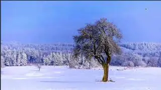 The Book of John - Sunday Service (Bible Study) John 19