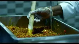Cosmos Instant Masala Grinder - EssEmm Corporation
