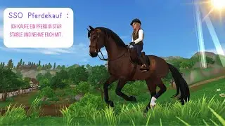 SSO – Pferdekauf – Fini nimmt Euch mit 🐎