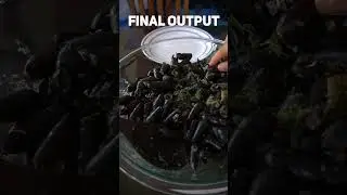 Cooking the famous 