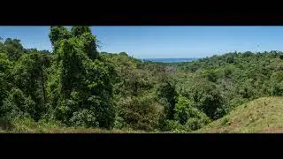 37 ACRES &ndash; Prime Ocean View Development Land, Several Building Sites, and Legal Water!!!!