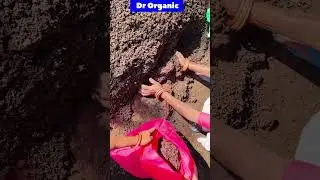 Vermicompost Training on 13 April