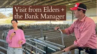 Elders come out to Weigh the Crossbred Lambs, plus a visit from the Bank Manager