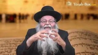 Moché a t'il écrit sa propre mort ? (Rav Eliahou Uzan)