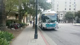 2024 Pasadena Transit New Flyer XN35 5032