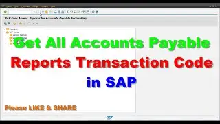 How to Get All Accounts Payable Reports Transaction Code in SAP