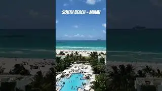 South Beach - Miami #shorts  #southbeach #miami  #views