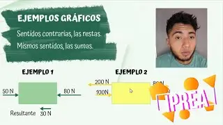 Fuerza Resultante