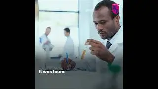 ANOTHER INDIAN PHARMA SCANDAL!