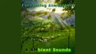 Enchanting Atmosphere