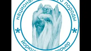 Кобели победители Male winners