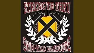 Thank you for Skinhead, Punk n youth