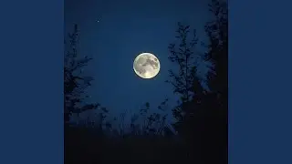 Night Presence
