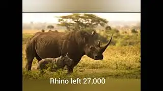 Animal That will extinct before 2050 #trending #animals