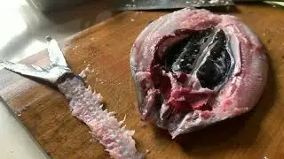 🐟 How to Debone a Fish | Step-by-Step Tutorial | Simple Tutorial for Beginners