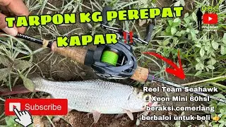 IKAN BULAN | KG PEREPAT KAPAR | TEAM SEAHAWK XEON MINI 60hsl | FRENY TARPON ‼️