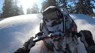 Monday tree riding 9R