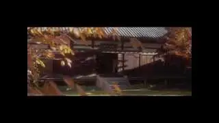 Fanvid DouWata LA - How to save a life