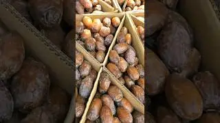 افضل التمور على مستوى العالم #dates #تمر #رطب #فلسطين #phalastine