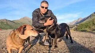 VET CARE: I'm not happy about making this choice - August 18, 2025 #cushingsdisease 